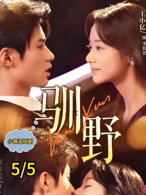 法网追凶